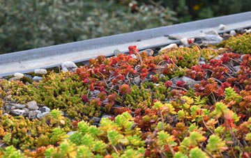 the cost of Sutton On The Hill green roof installation