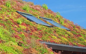 Sutton On The Hill living roof systems