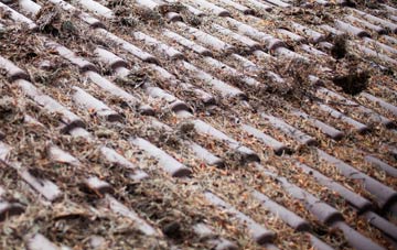 Sutton On The Hill roof cleaning companies