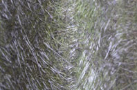 Sutton On The Hill fibreglass roof work